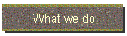 What we do